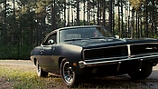 driveangry04363.jpg