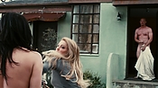 driveangry05797.jpg