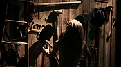 driveangry12475.jpg