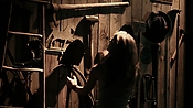 driveangry12476.jpg
