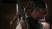 driveangry12662.jpg