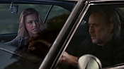 driveangry14060.jpg