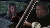 driveangry14068.jpg