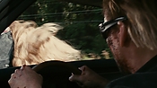 driveangry21393.jpg