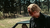 driveangry21601.jpg