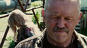 driveangry26653.jpg