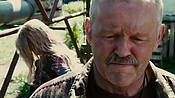 driveangry26658.jpg