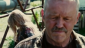 driveangry26659.jpg