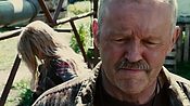 driveangry26662.jpg