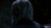 driveangry29442.jpg