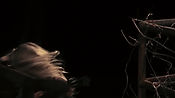 Filename=driveangry32637.jpg
Filesize=129KiB
Dimensions=1920x1080
Date added=May 09, 2021 driveangry32637.jpg