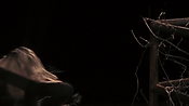 Filename=driveangry32639.jpg
Filesize=120KiB
Dimensions=1920x1080
Date added=May 09, 2021 driveangry32639.jpg