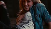 driveangry32948.jpg