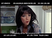 Filename=exterminators_gagreel_7094.jpg
Filesize=60KiB
Dimensions=640x480
Date added=Jan 11, 2023 exterminators_gagreel_7094.jpg