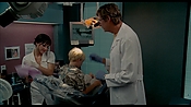 exterminators07623.jpg