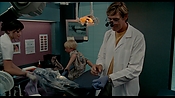 exterminators07685.jpg