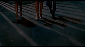 exterminators08984.jpg