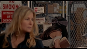exterminators10296.jpg