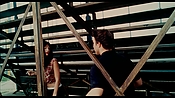 exterminators16801.jpg