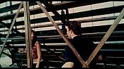 exterminators16802.jpg