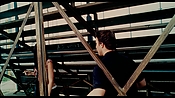 exterminators16804.jpg