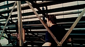 exterminators16805.jpg