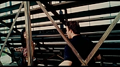 exterminators16806.jpg