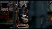 exterminators17090.jpg