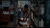 exterminators17160.jpg