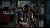 exterminators17161.jpg