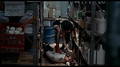 exterminators17172.jpg