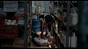 exterminators17173.jpg