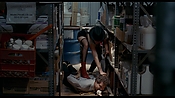 exterminators17175.jpg