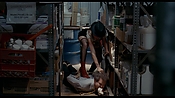 exterminators17177.jpg