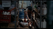 exterminators17179.jpg
