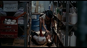 exterminators17180.jpg