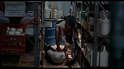 exterminators17181.jpg