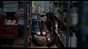 exterminators17182.jpg