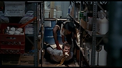 exterminators17184.jpg