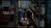 exterminators17186.jpg