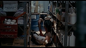 exterminators17187.jpg
