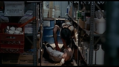 exterminators17188.jpg