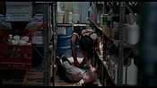 exterminators17189.jpg