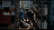 exterminators17190.jpg