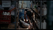 exterminators17191.jpg