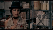 exterminators17360.jpg