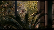 exterminators18208.jpg