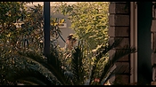 exterminators18215.jpg