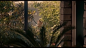 exterminators18217.jpg