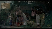 exterminators21466.jpg